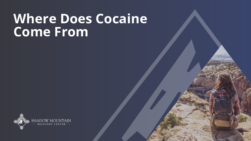 Where Does Cocaine Come From